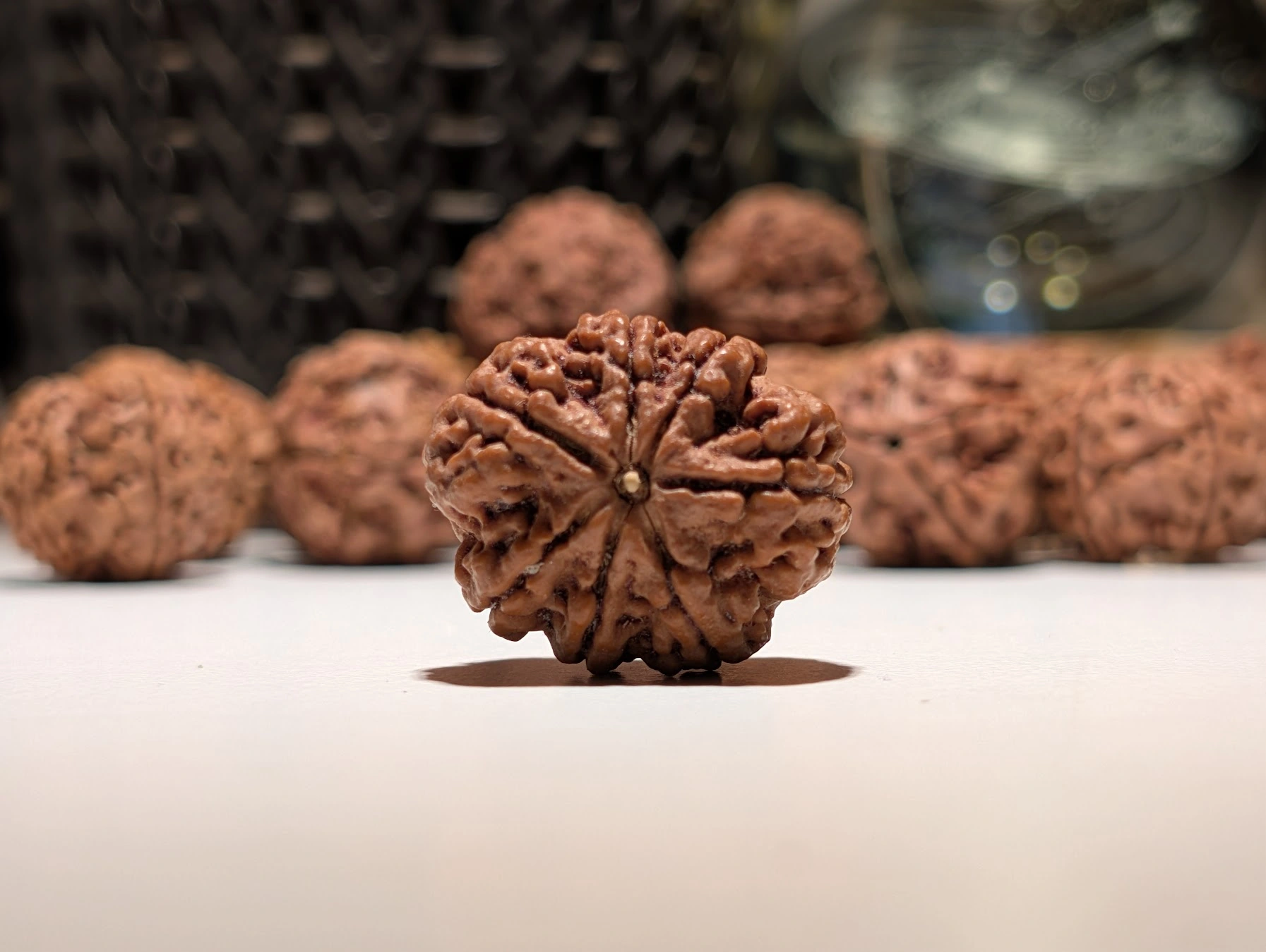 7 Mukhi Rudraksha