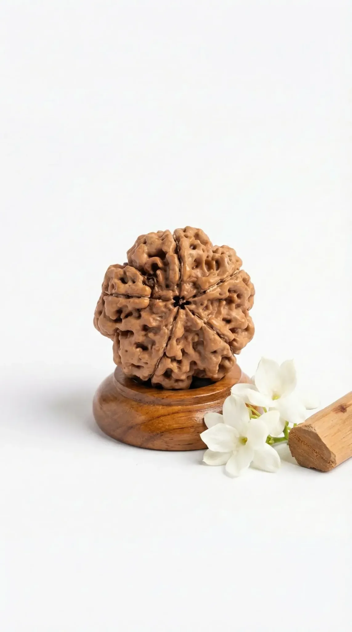 Free Gift – Authentic 5 Mukhi Nepali Rudraksha